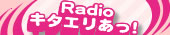Radio �L�^�G�������I