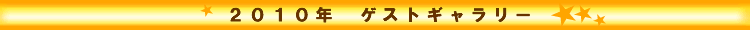 �Q�O�P�O�N�Q�X�g�M�������[