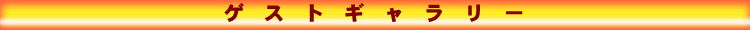 QXgM[