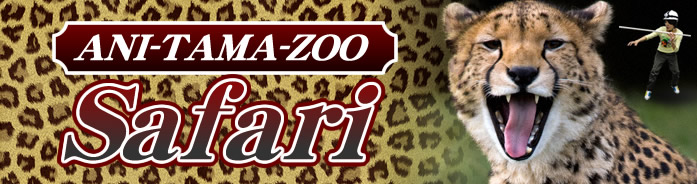 ANI-TAMA-ZOO Safari
